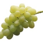 Grapes Thompson