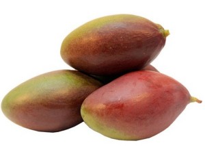 Mango Palmer